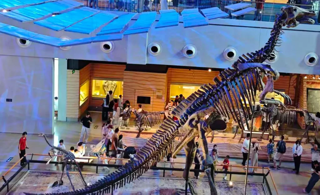Dinosaur fossils in the Guangdong Museum
